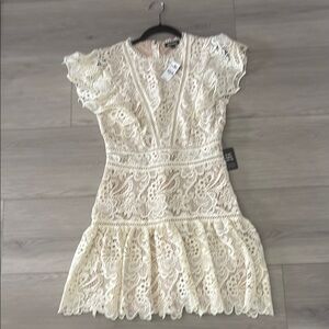 Express Ivory Lace Mini Dress